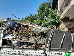 Best Attic Cleanout  in Plymouth, CA